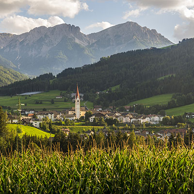 brunico