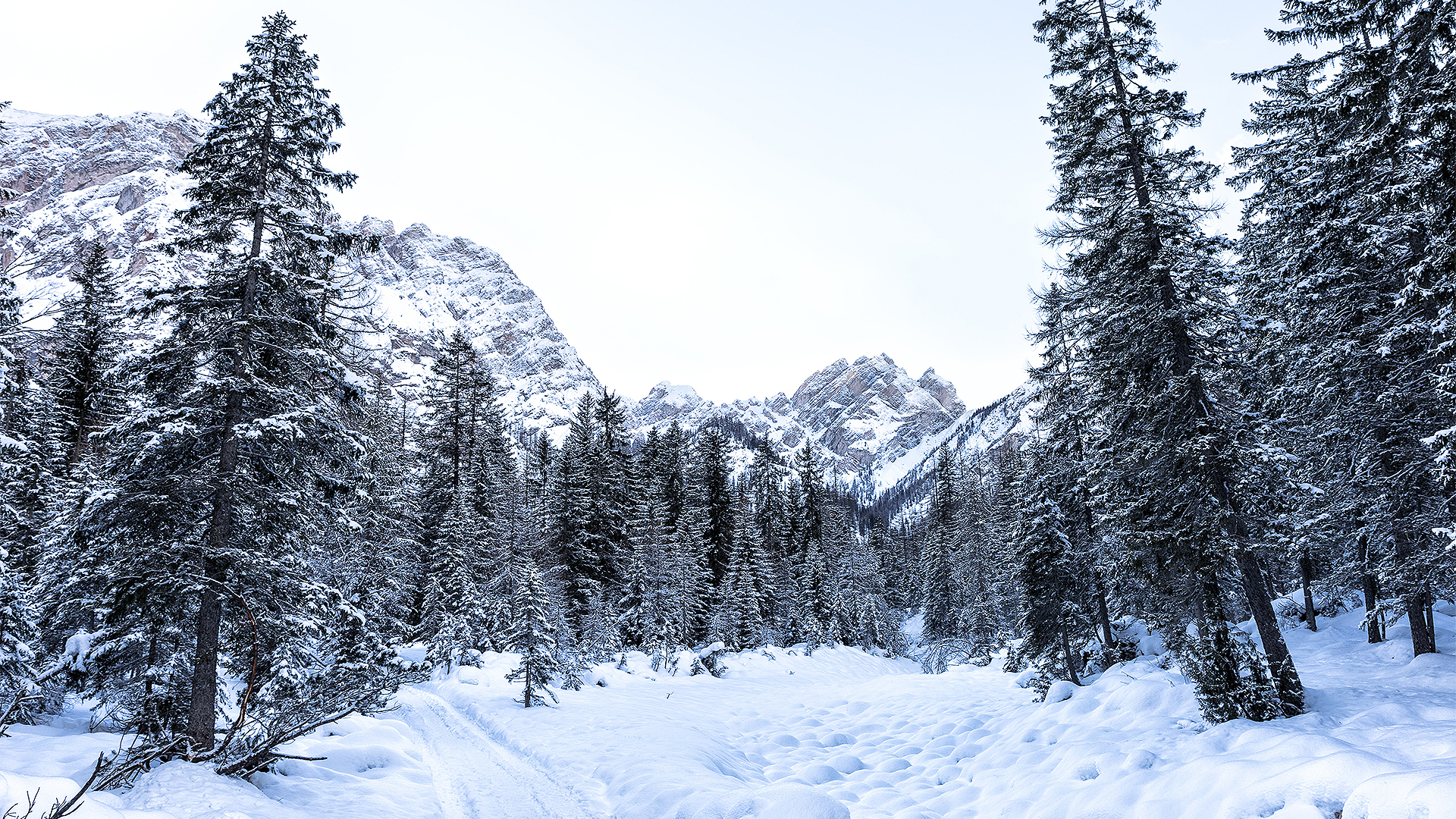 valle anterselva